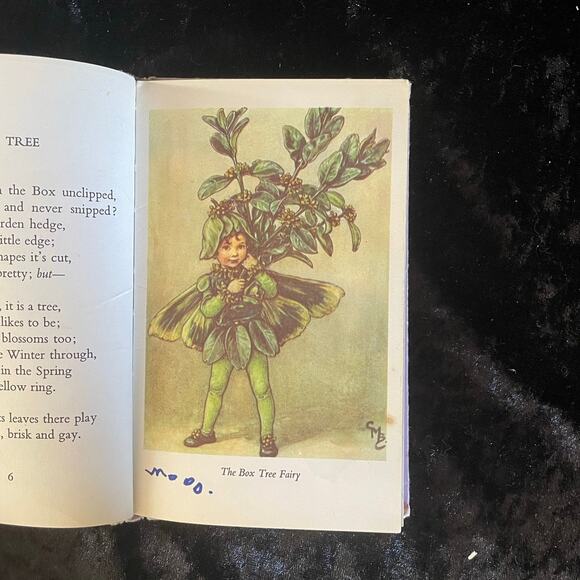 Flower Fairies of the Trees - 1974 Vintage Fairy Book - Picture 7 of 11